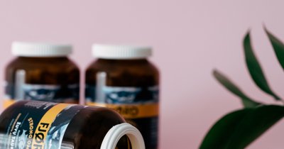Omega-3 Cholesterin-Spiegel senken