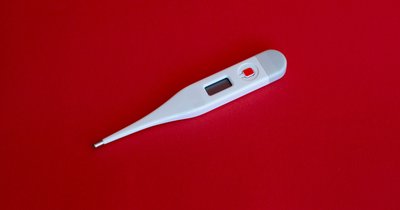 Symptome der Spanischen Grippe erkennen